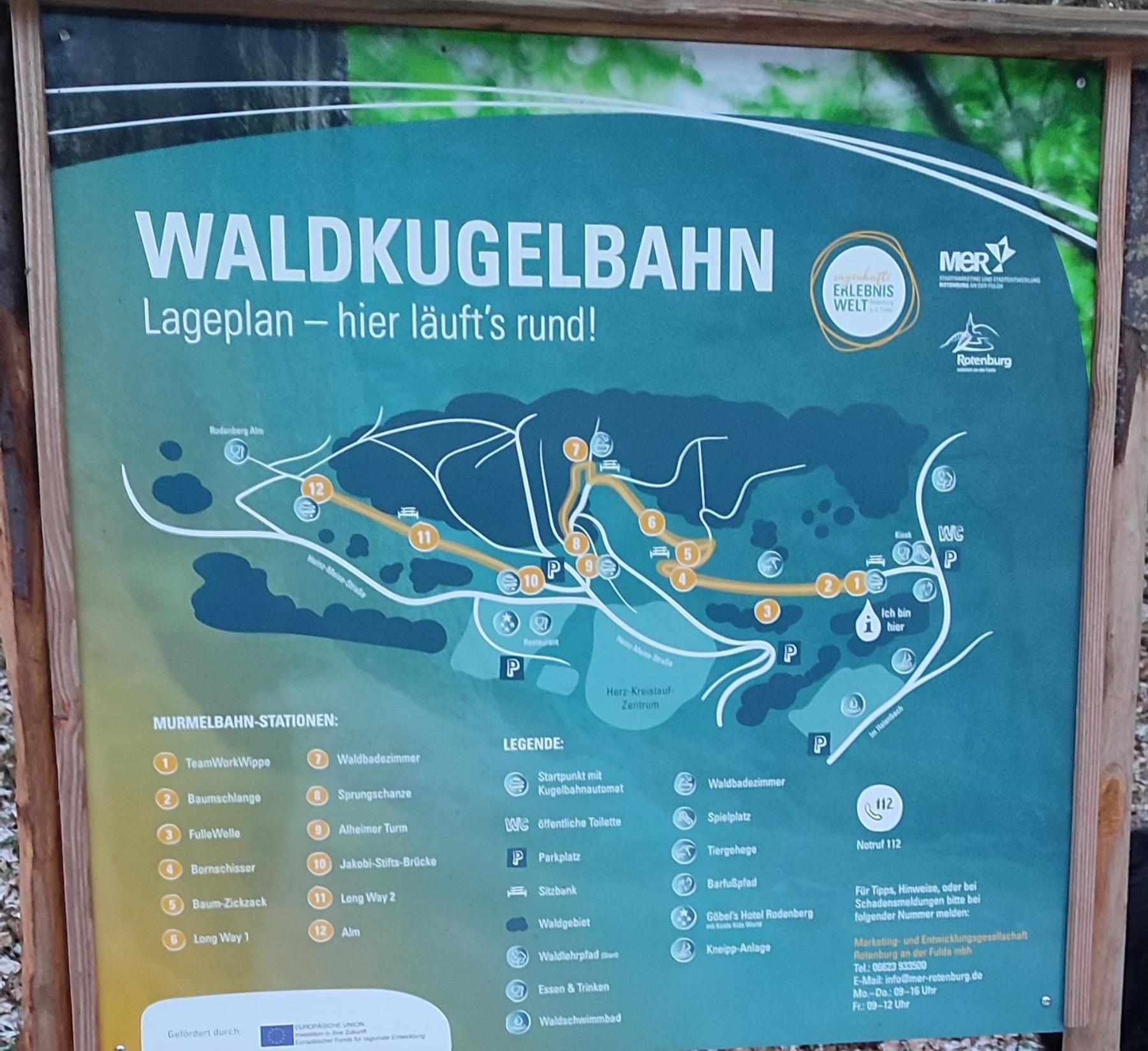 Ferienwohnung Rhododendron - Natur Pur Am Highwalk Rotenburg an der Fulda Esterno foto