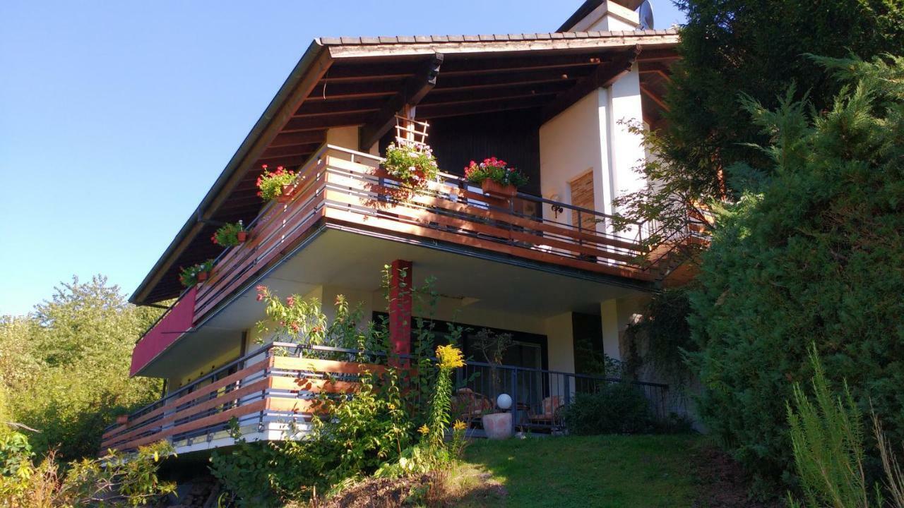 Ferienwohnung Rhododendron - Natur Pur Am Highwalk Rotenburg an der Fulda Esterno foto