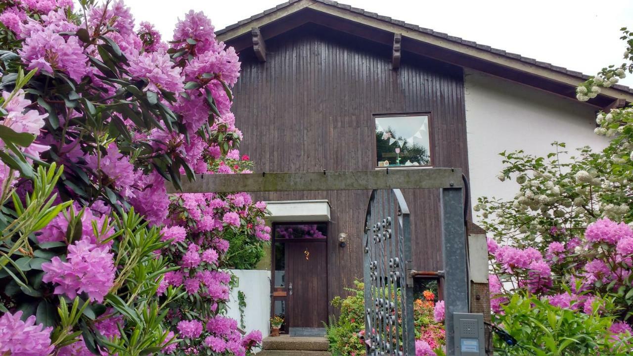 Ferienwohnung Rhododendron - Natur Pur Am Highwalk Rotenburg an der Fulda Esterno foto
